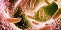 Microbes in Your Gut Influence Major Eye Disease