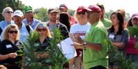 Pest Control: Wicked Weeds May Be Agricultural Angels