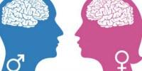 Study Reveals the Brain Regulates Social Behavior Differently in Males and Females