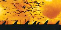 The National Research Council of Canada’s Bird Guns Ensure Safe Air Travel