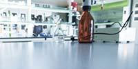 Top 5 No Cost Lab Design Strategies