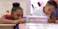When Fish Come to School, Kids Get Hooked on Science