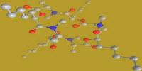 Faster (Cheaper) Method for Making Big Bioactive Ring Molecules