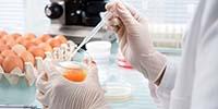 Improving Food Safety Testing Methods