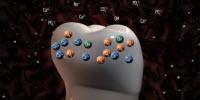 Researcher Uses Genome Sequencer to Study Tooth Decay
