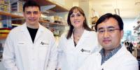 Scientists Discover New Cancer Connection Between Enzymes
