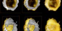 Scientists Track Chemical and Structural Evolution of Catalytic Nanoparticles in 3D