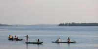Seafood Consumption 15 Times Higher among Indigenous Than Non-Indigenous People