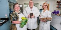 Study Finds Recipes with Hand-Washing, Temperature Reminders Improve Food Safety