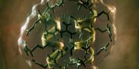 A Rising Peptide: Supercomputing Helps Scientists Come Closer to Tailoring Drug Molecules
