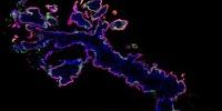 Discovery May Lead to New Treatments to Protect Fetus from Deadly Effects of Food Poisoning