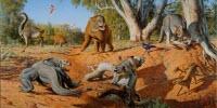 Humans, Not Climate Change, Wiped out Australian Megafauna