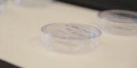New Nanoparticle Discovery May Eliminate Cold Storage for Some Tests