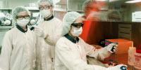 Researchers Achieve Major Breakthrough in Flexible Electronics