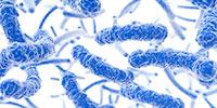 Antibiotic Resistance: A Burgeoning Problem for Kids Too