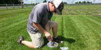 Grow, Mow, Mulch: Finding Lawn's Value