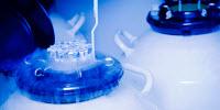 Maintaining Your Lab's Cold Chain