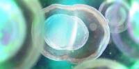 Study: Induced Pluripotent Stem Cells Don't Increase Genetic Mutations