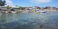 Underwater Seagrass Meadows Dial Back Polluted Seawater
