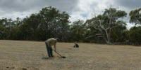 Microbes Measure Ecological Restoration Success