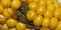 This Small Molecule Could Have a Big Future in Global Food Security
