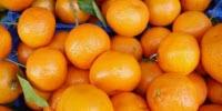 Wastewater Cleaned Thanks to a New Adsorbent Material Made from Fruit Peels