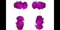 Detecting Alzheimer's Disease Earlier Using … Greebles?