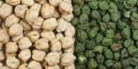 Nutrition Report Calls for Greater Cooperation and Coordination in Promotion of Pulse