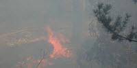 Wildfire Experts Predict Large, High-Intensity Forest Fires Will Increase