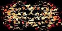A New Tool to Decipher Evolutionary Biology