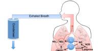 Graphene-Based Sensor Could Improve Evaluation, Diagnosis, and Treatment of Asthma
