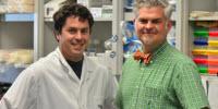 Healing Wounds with Cell Therapy