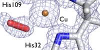 Insight into Enzyme's 3D Structure Could Cut Biofuel Costs