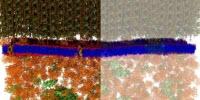 Neutrons Provide the First Nanoscale Look at a Living Cell Membrane
