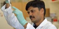 New Technology Developed for Engineering Animal Models