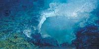 Ocean Observatories Initiatives’ Cabled Array Brings the Ocean to Your Living Room, 24/7