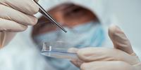 Paper: DNA May Have Only Modest Impact on Sexual Assault Arrests