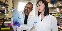 Researchers Discover First Human Antibodies That Work Against All Ebolaviruses