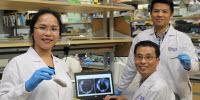 Scientists Develop Novel Chemical