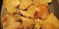 Study: Nutritional Properties of Mushrooms Are Better When Grilled or Microwaved