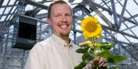 Sunflower Genome Sequence to Provide Roadmap for More Resilient Crops