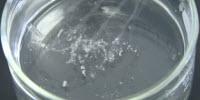 Cotton Candy Capillaries Lead to Circuit Boards That Dissolve When Cooled