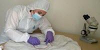 Forensic Scientists on the Case of Real Murders