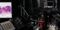Microscope Can Scan Tumors during Surgery and Examine Cancer Biopsies in 3-D