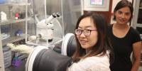 Piling on Pressure Solves Enduring Mystery About Metal’s Makeup