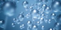Study Makes Breakthrough in Understanding of Proteins and Their Impact on Immune System