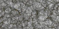 The Largest Virtual Universe Ever Simulated