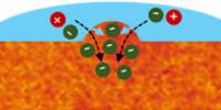 To Connect Biology with Electronics, Be Rigid, yet Flexible