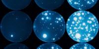 Gene's Position on Chromosome Affects Mutations