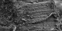 Heavy Metals in Water Meet Their Match